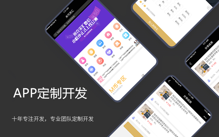 APP定制解决方案